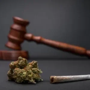 PORTE DE MACONHA: STF define limite de 40g de maconha para diferenciar usuário de traficante